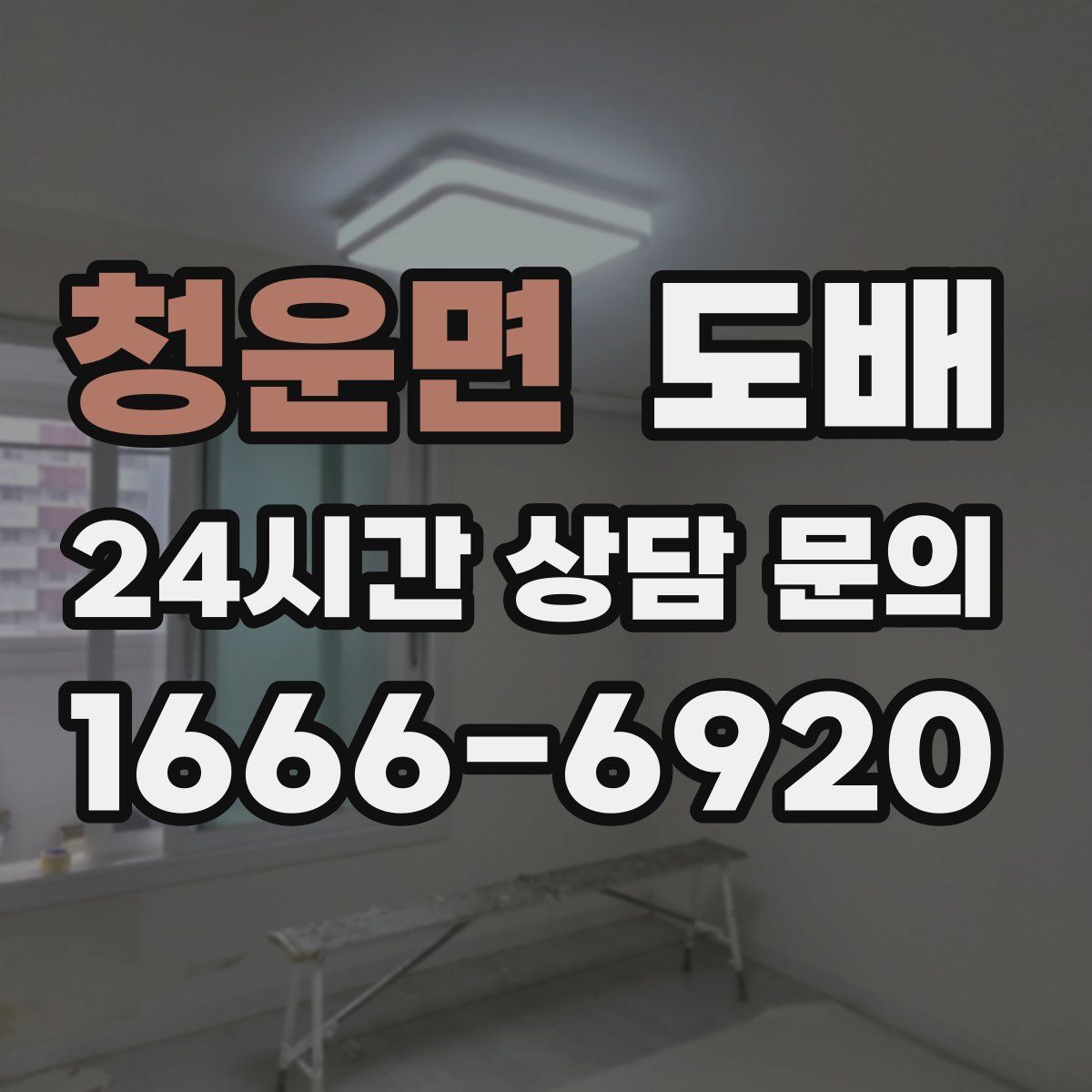 청운면 도배