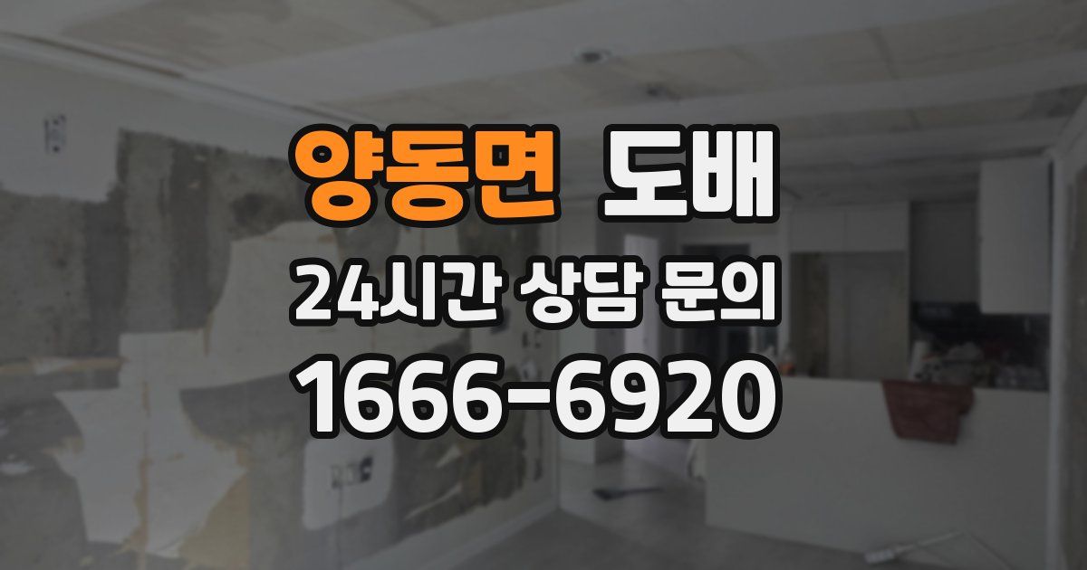양동면 도배