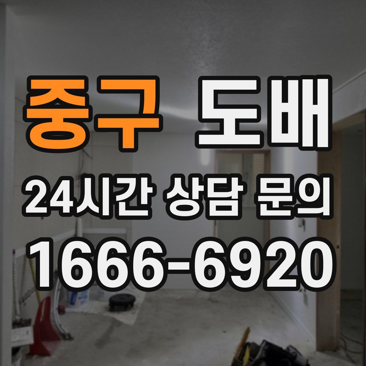 중구 도배