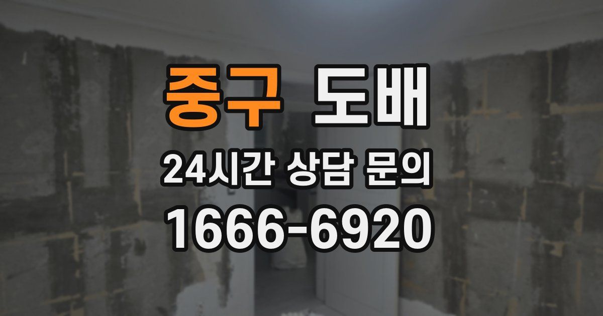 중구 도배