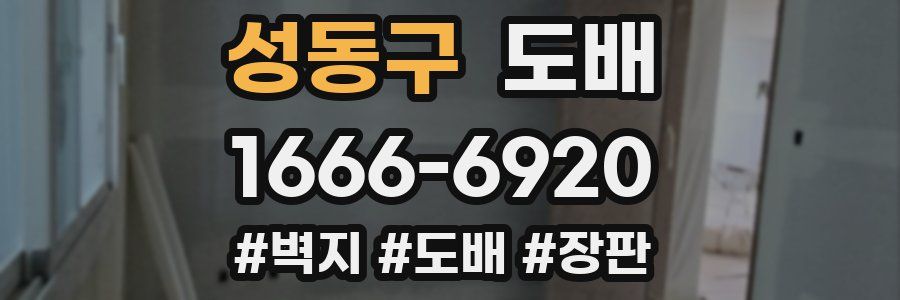 성동구 도배
