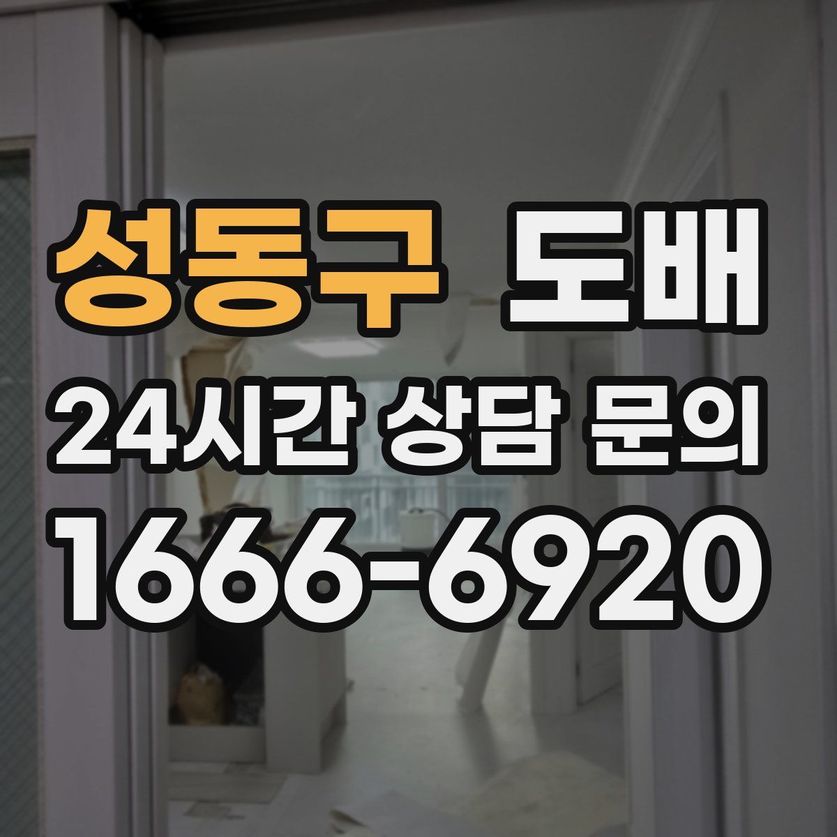 성동구 도배