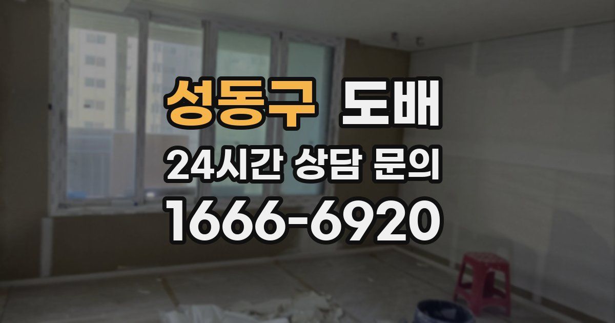 성동구 도배
