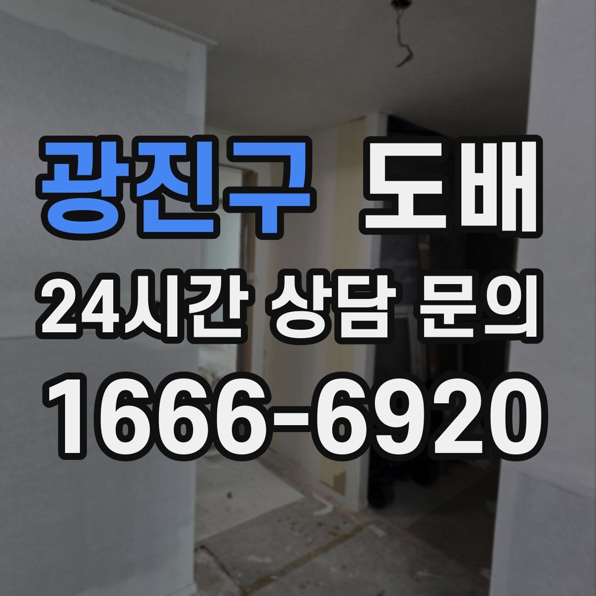 광진구 도배