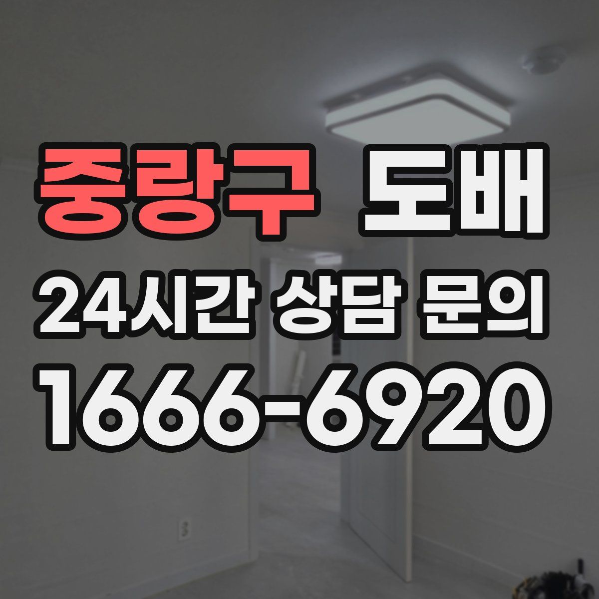 중랑구 도배