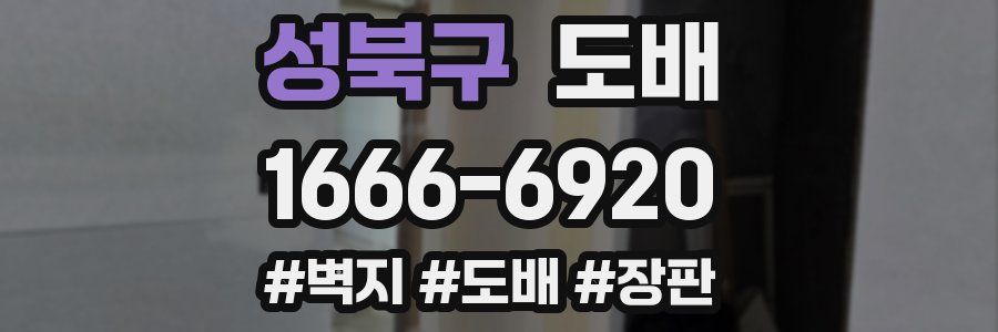 성북구 도배