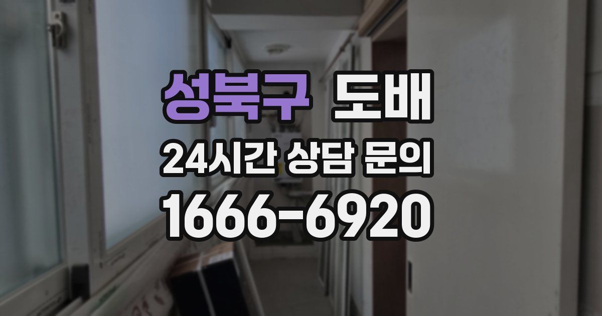 성북구 도배