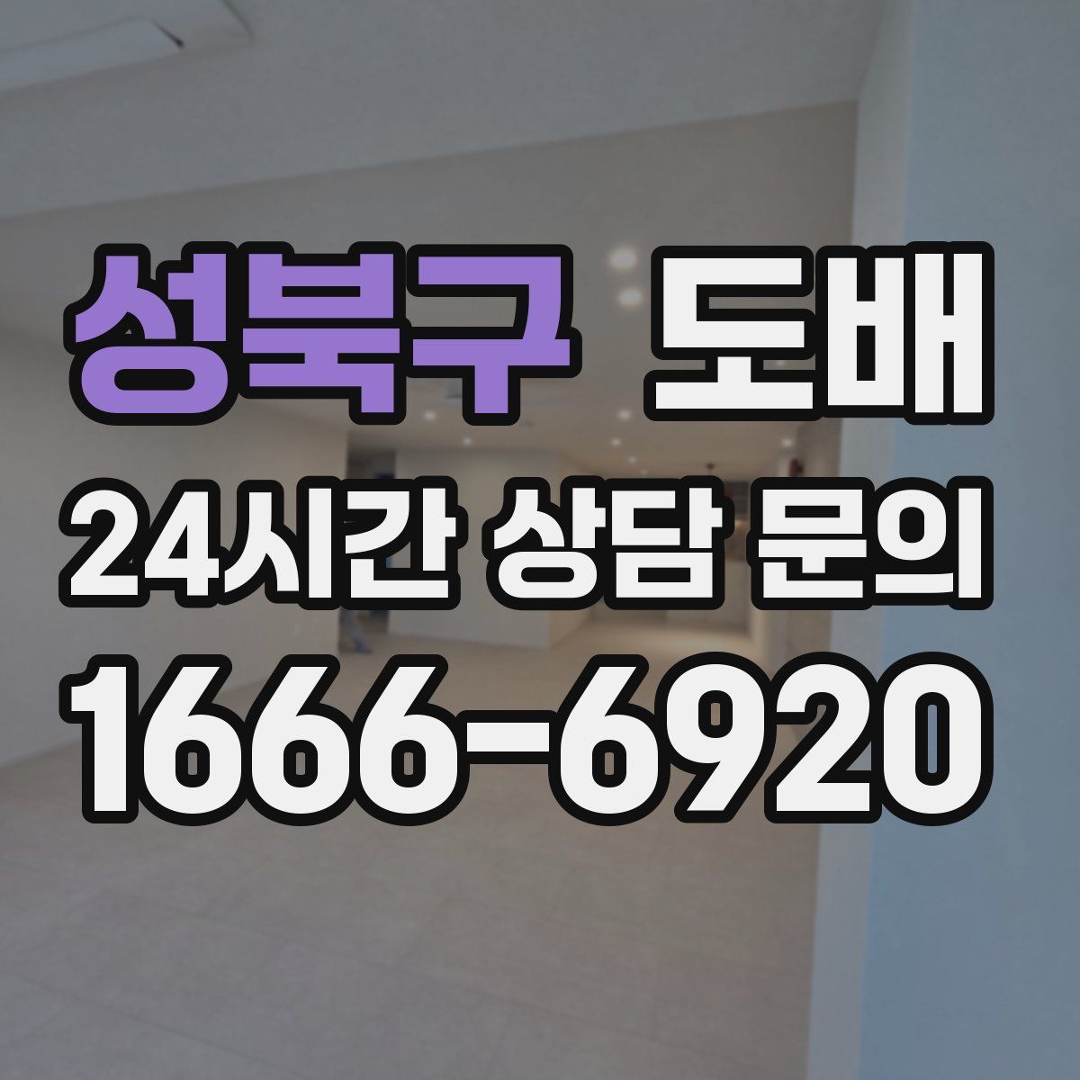 성북구 도배