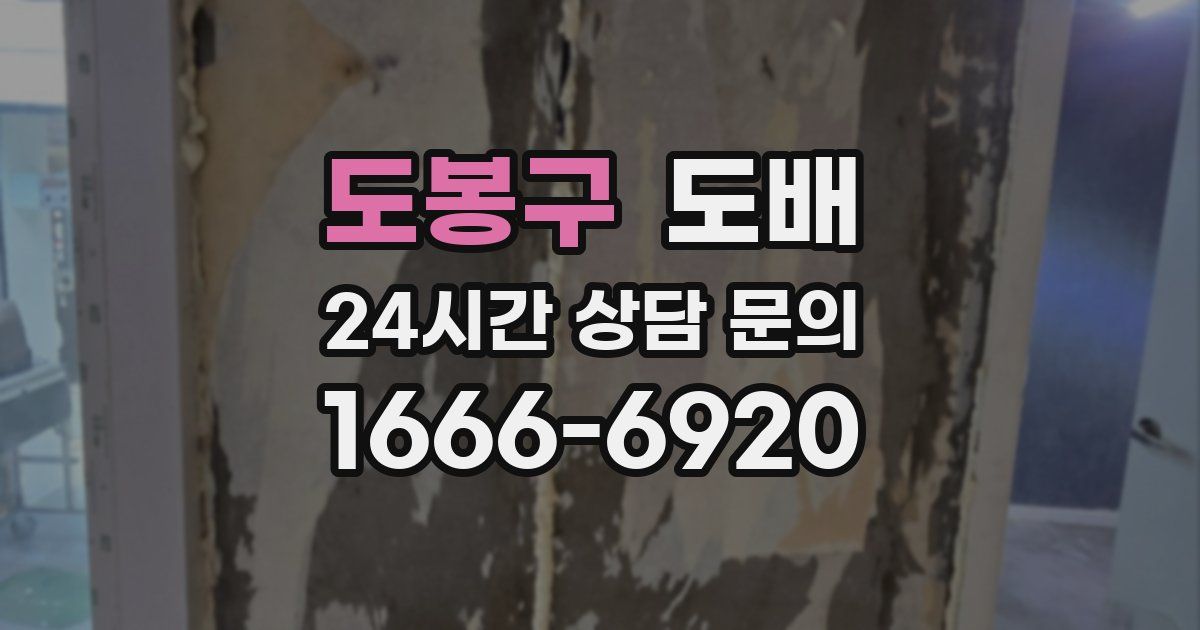도봉구 도배