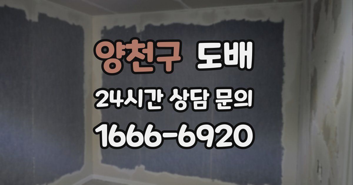 양천구 도배
