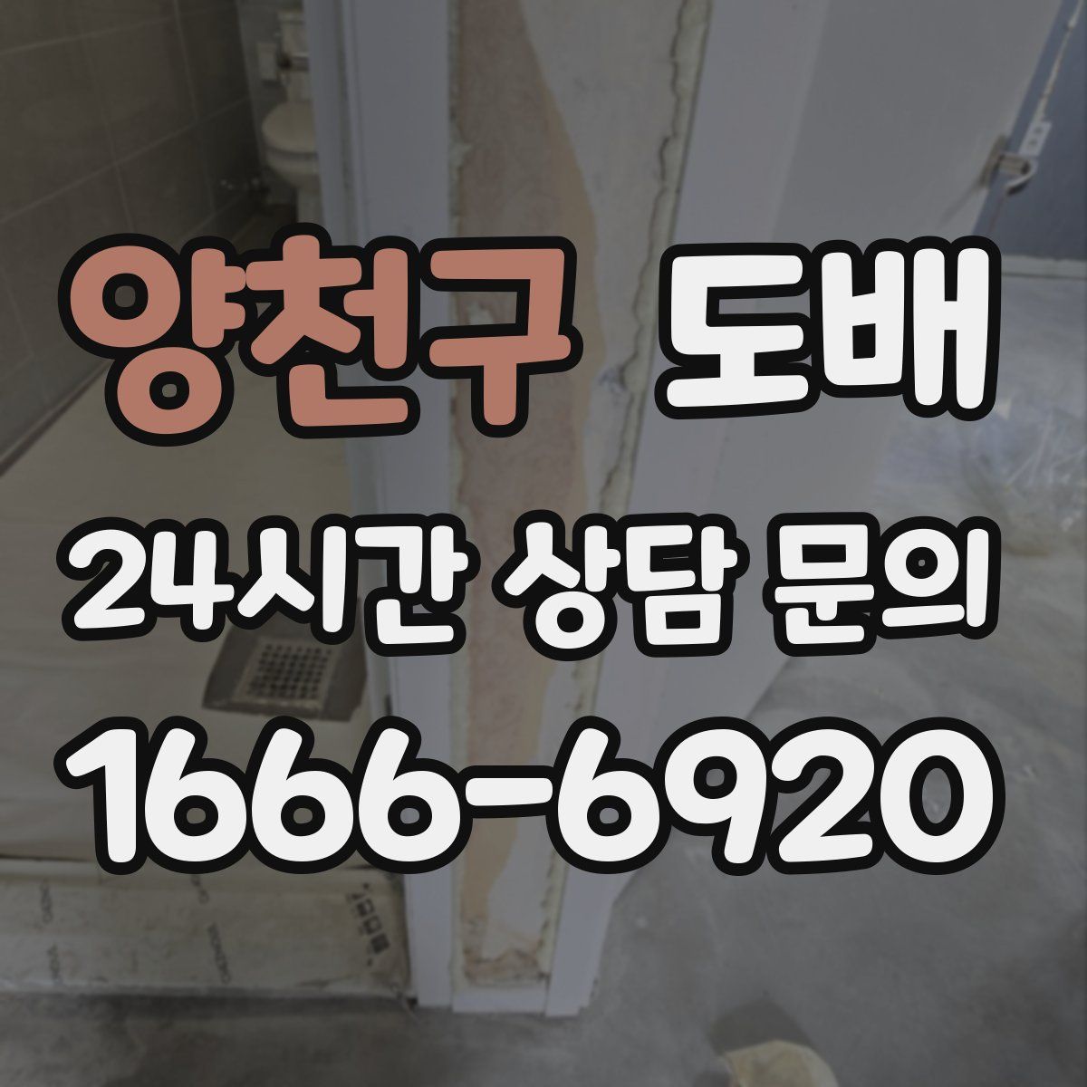 양천구 도배