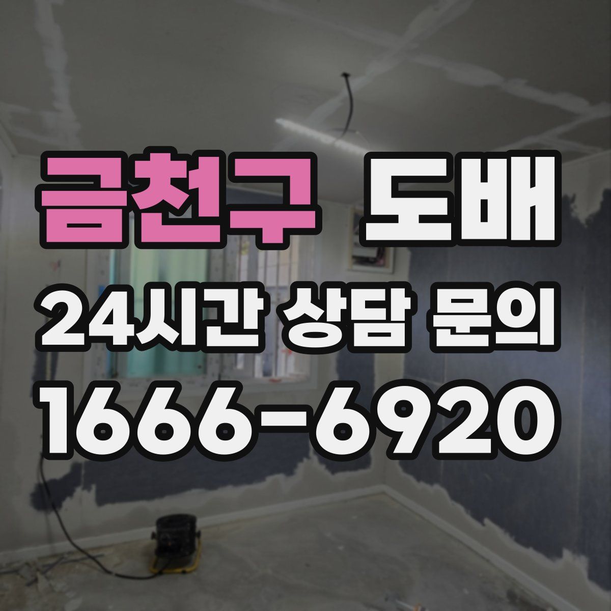 금천구 도배