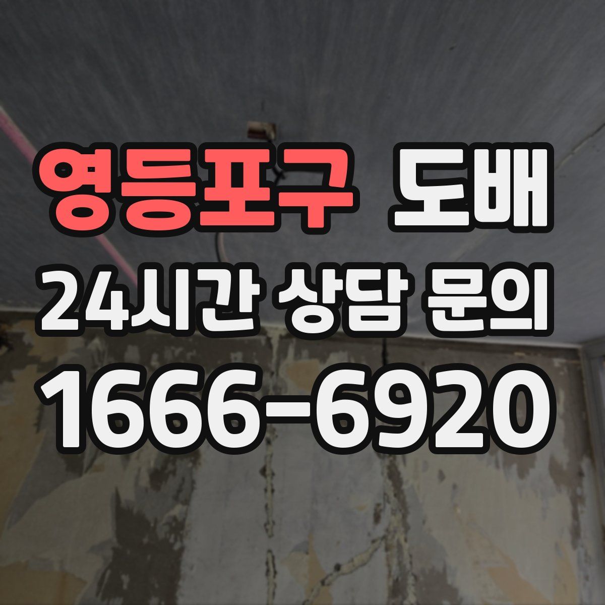 영등포구 도배