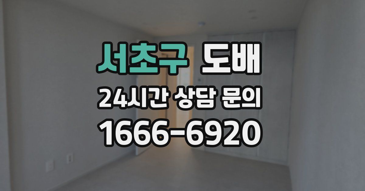 서초구 도배