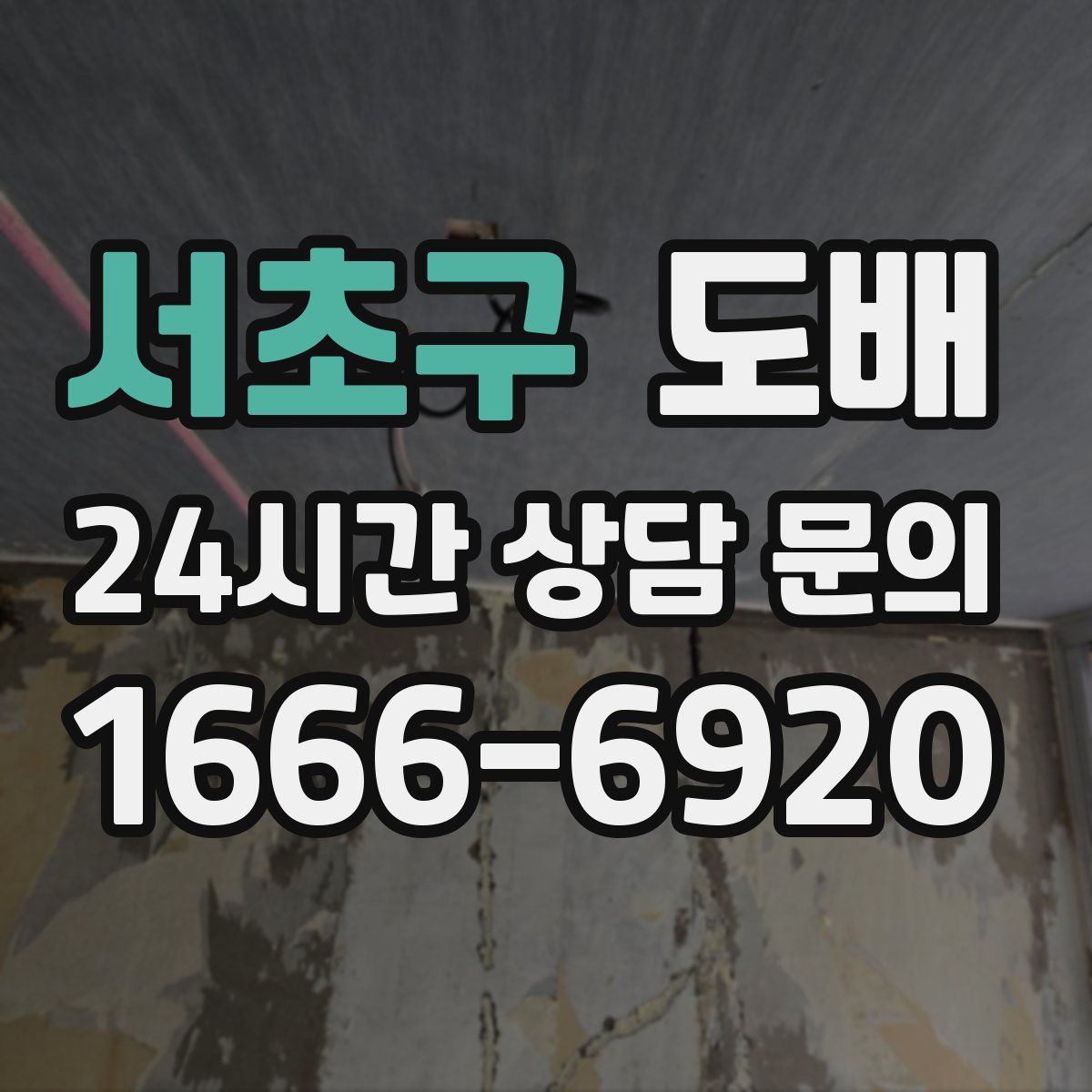 서초구 도배