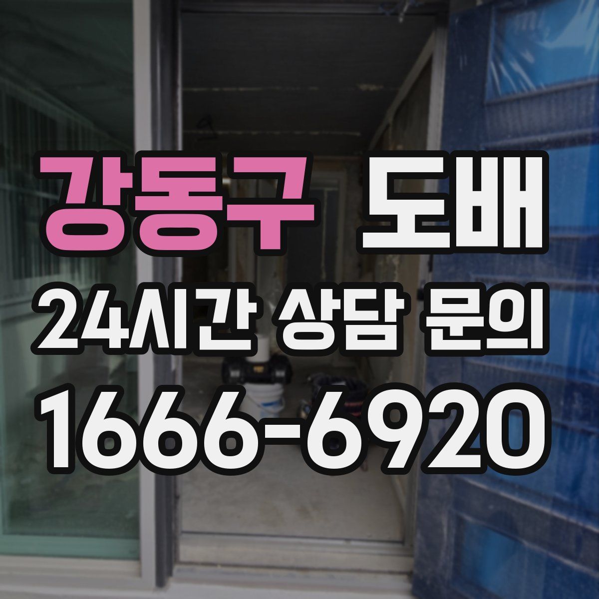 강동구 도배