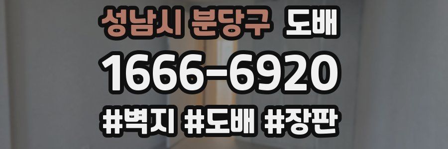 성남시 분당구 도배