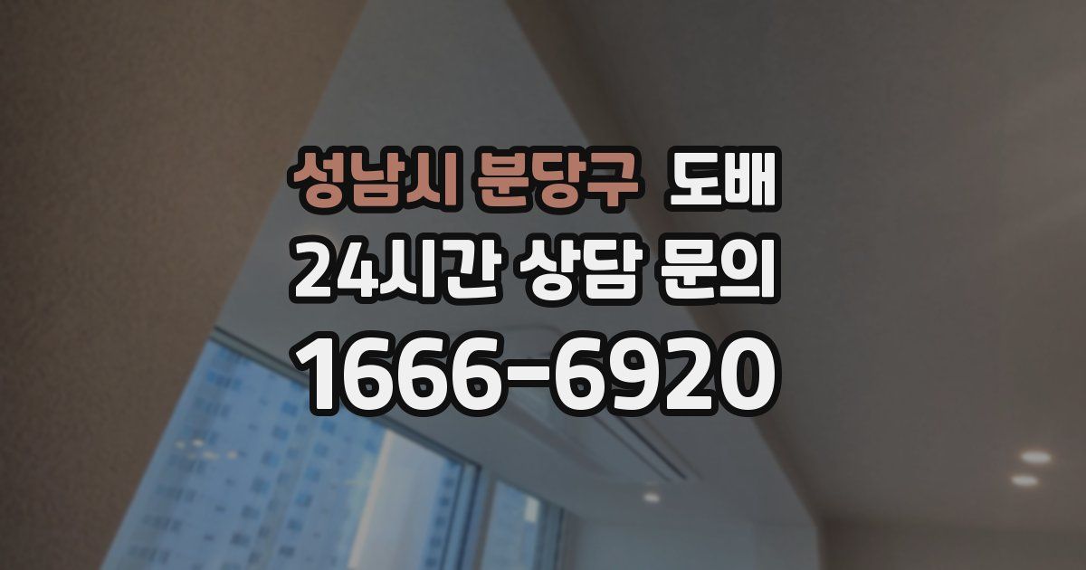 성남시 분당구 도배