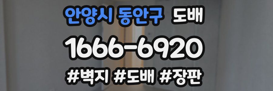 안양시 동안구 도배