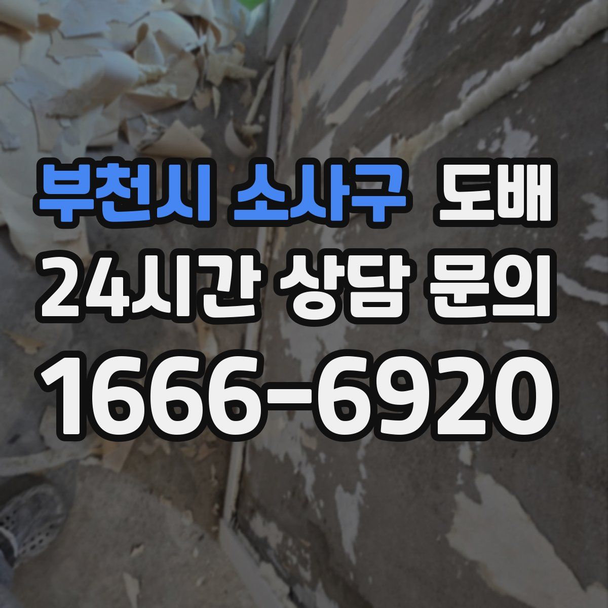 부천시 소사구 도배