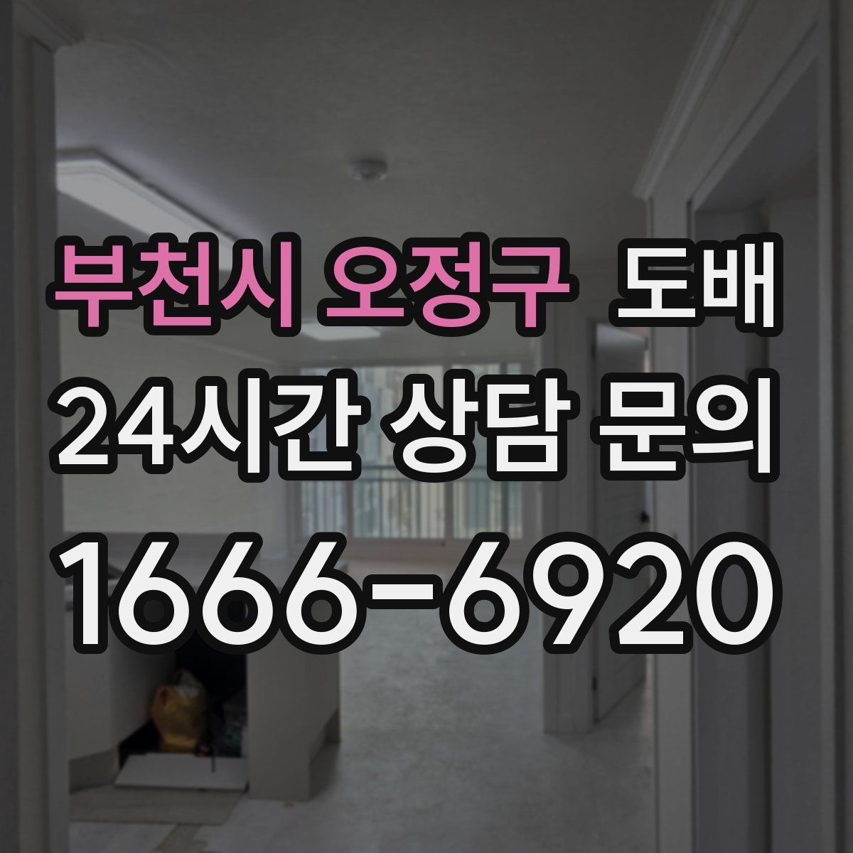 부천시 오정구 도배