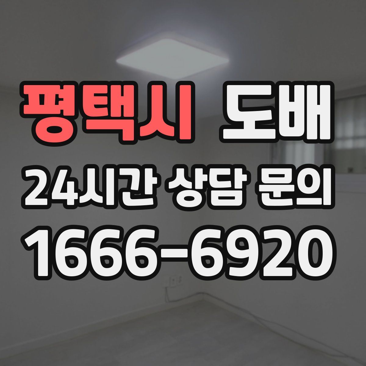 평택시 도배