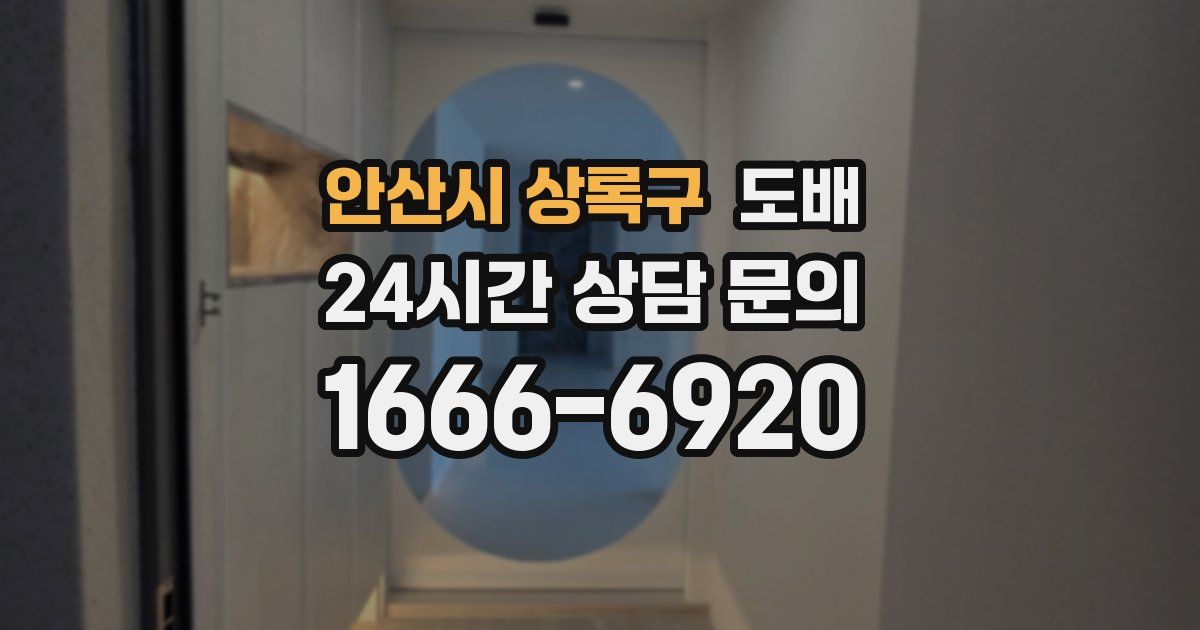 안산시 상록구 도배