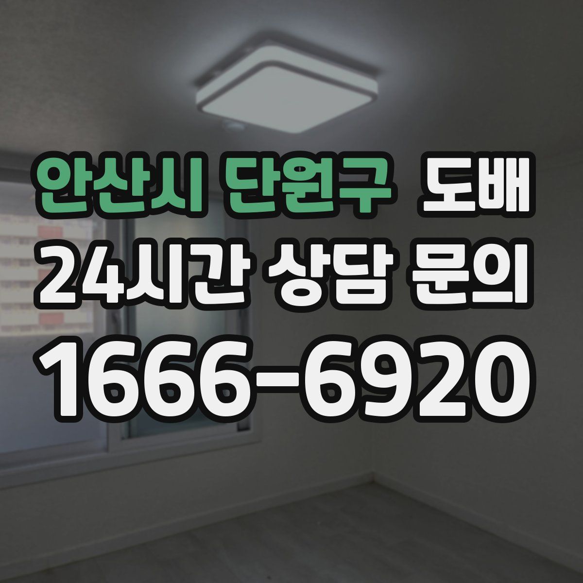 안산시 단원구 도배