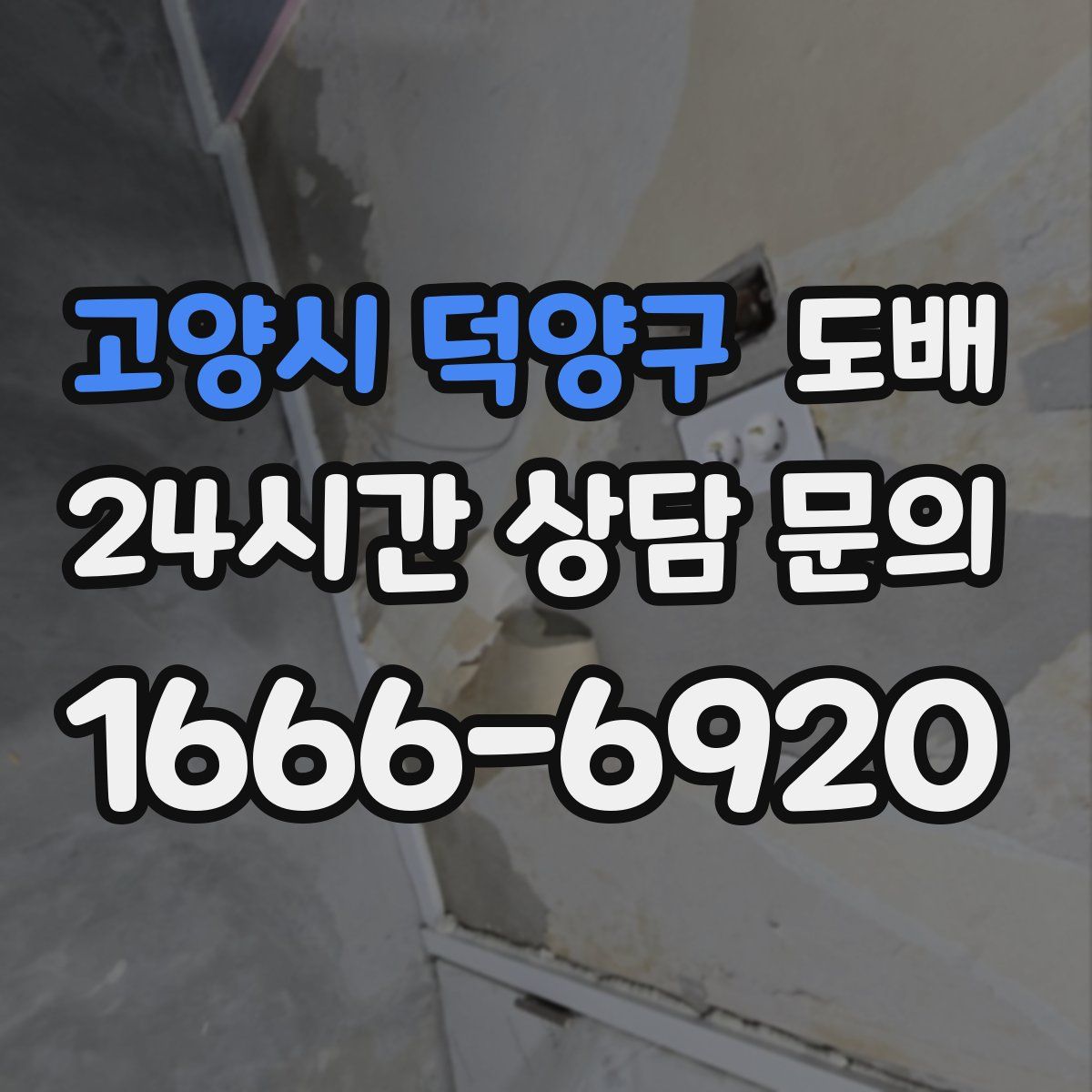 고양시 덕양구 도배