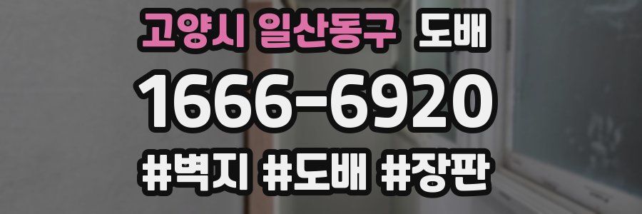 고양시 일산동구 도배