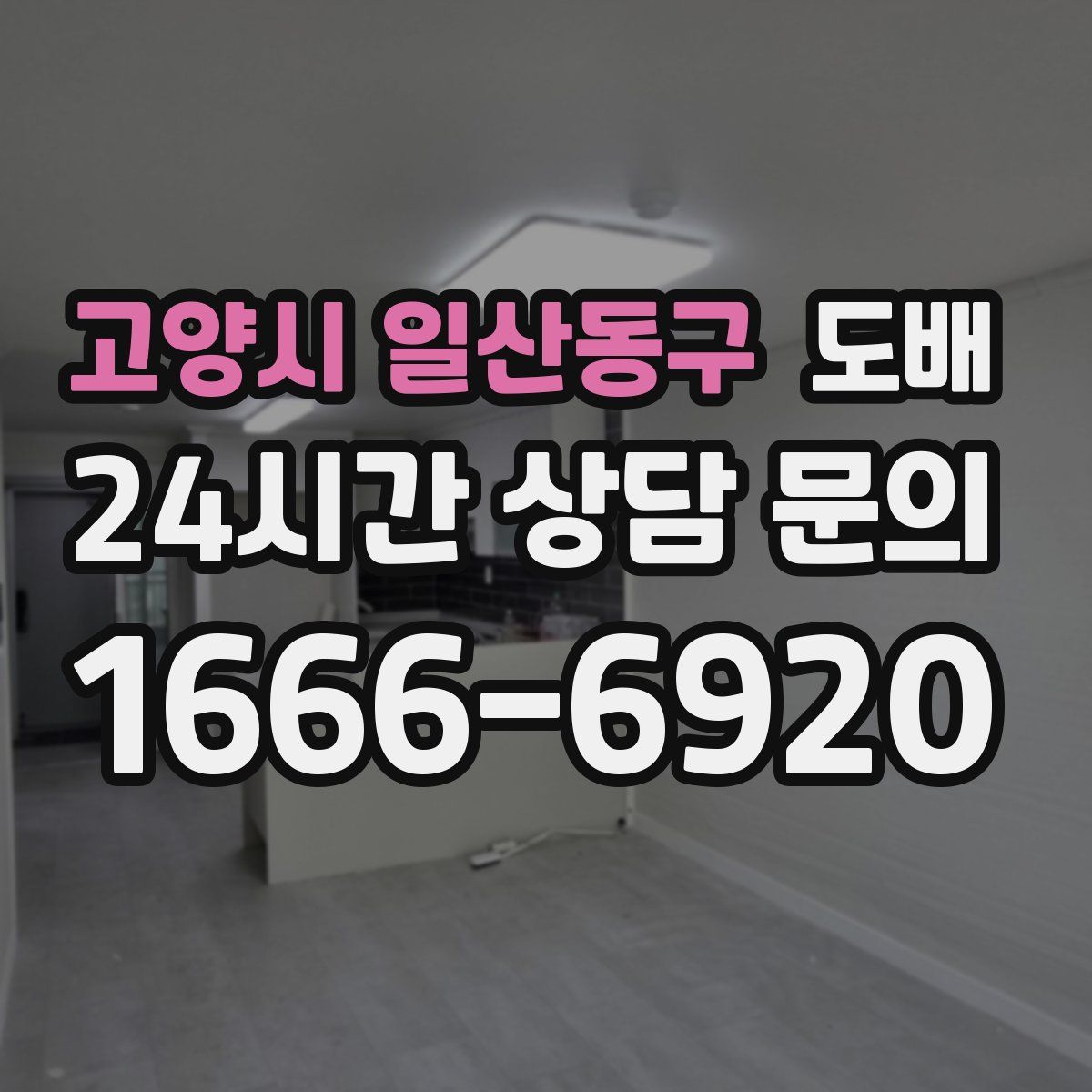 고양시 일산동구 도배