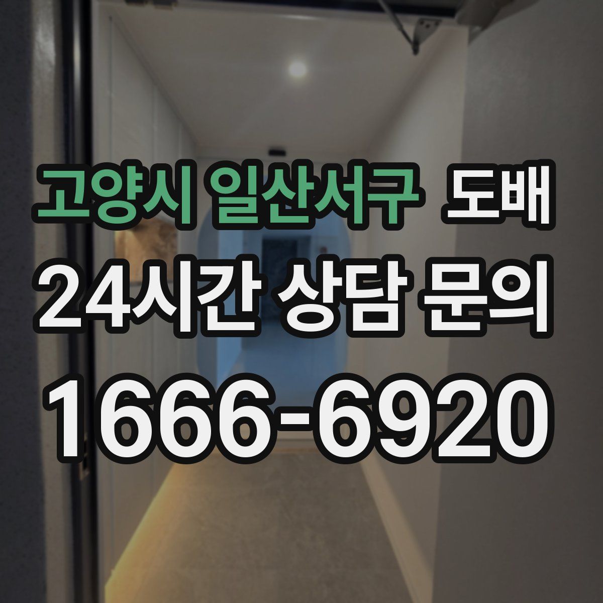 고양시 일산서구 도배