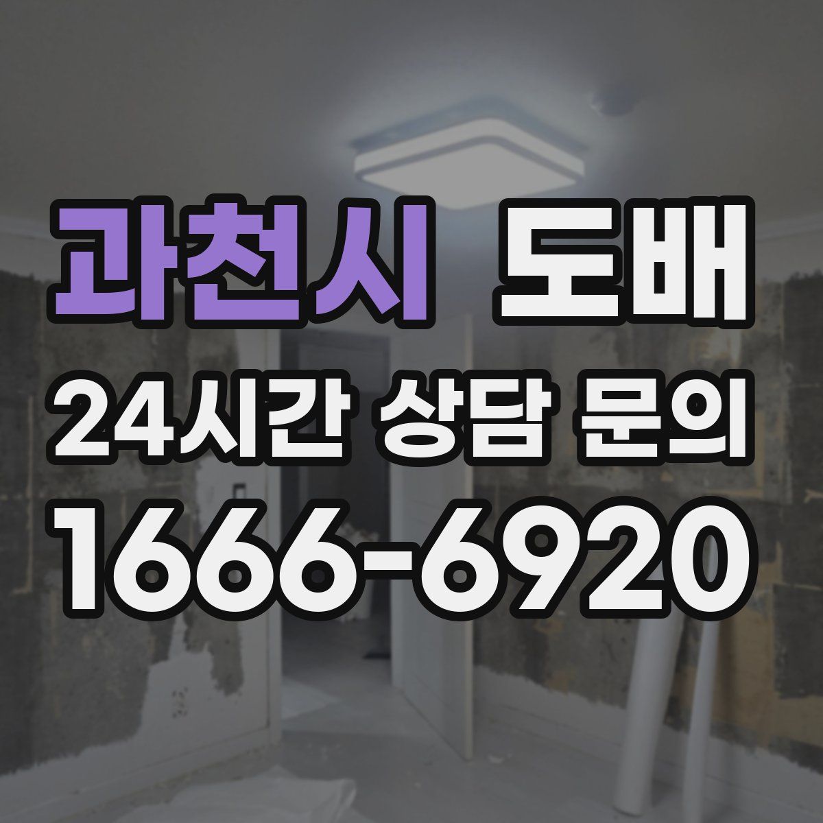 과천시 도배