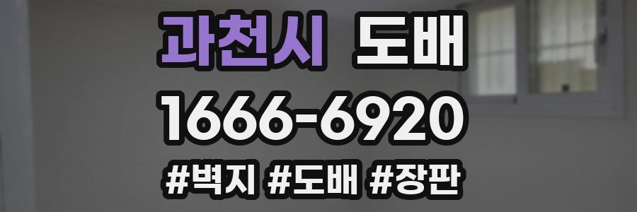 과천시 도배
