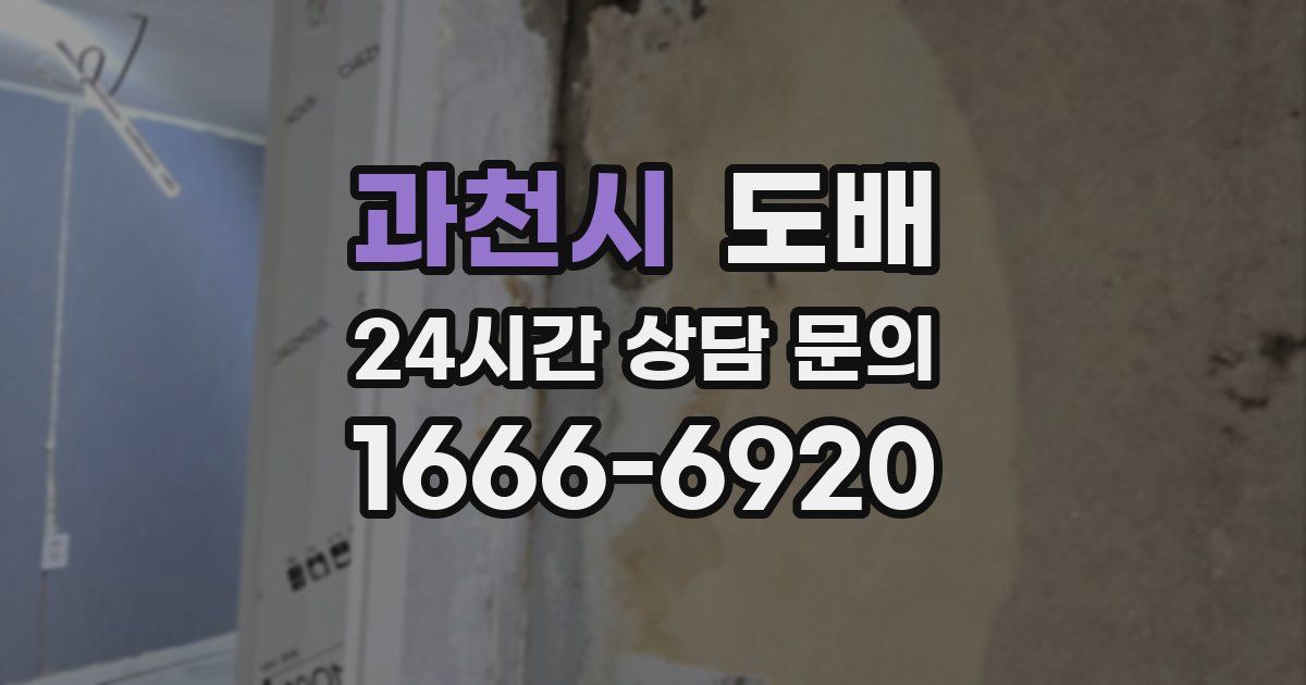 과천시 도배