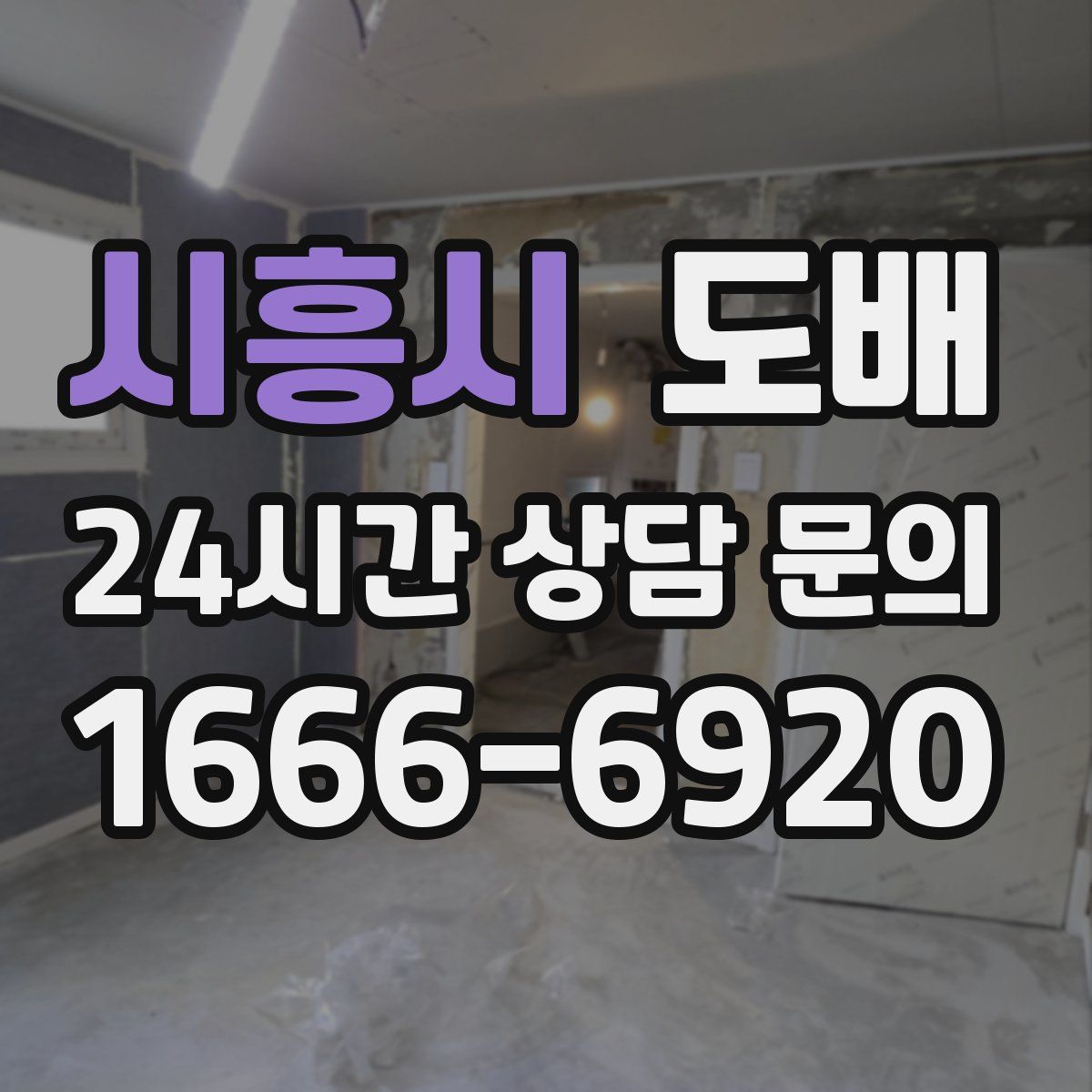 시흥시 도배