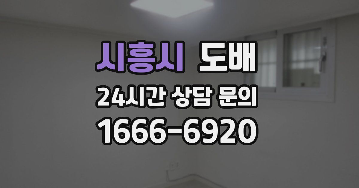 시흥시 도배
