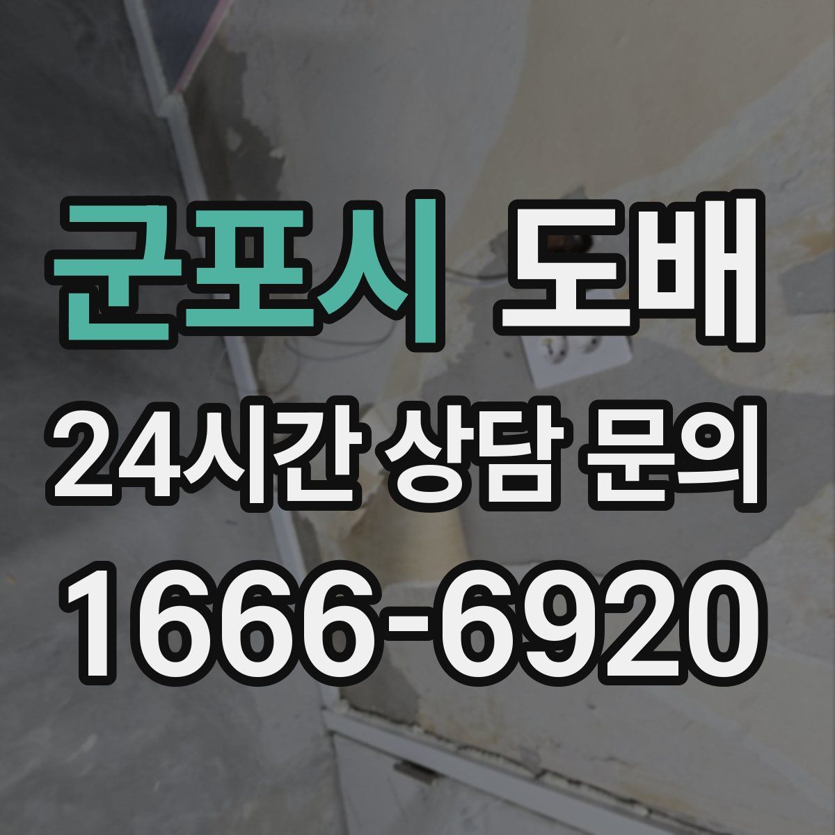 군포시 도배