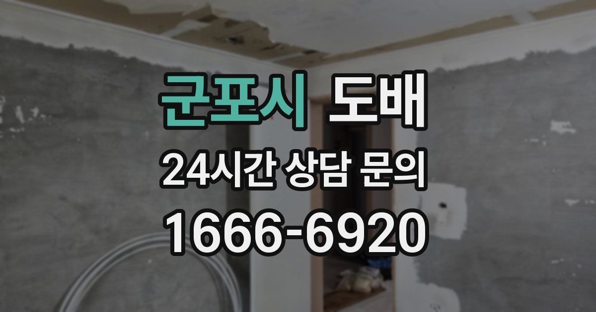 군포시 도배