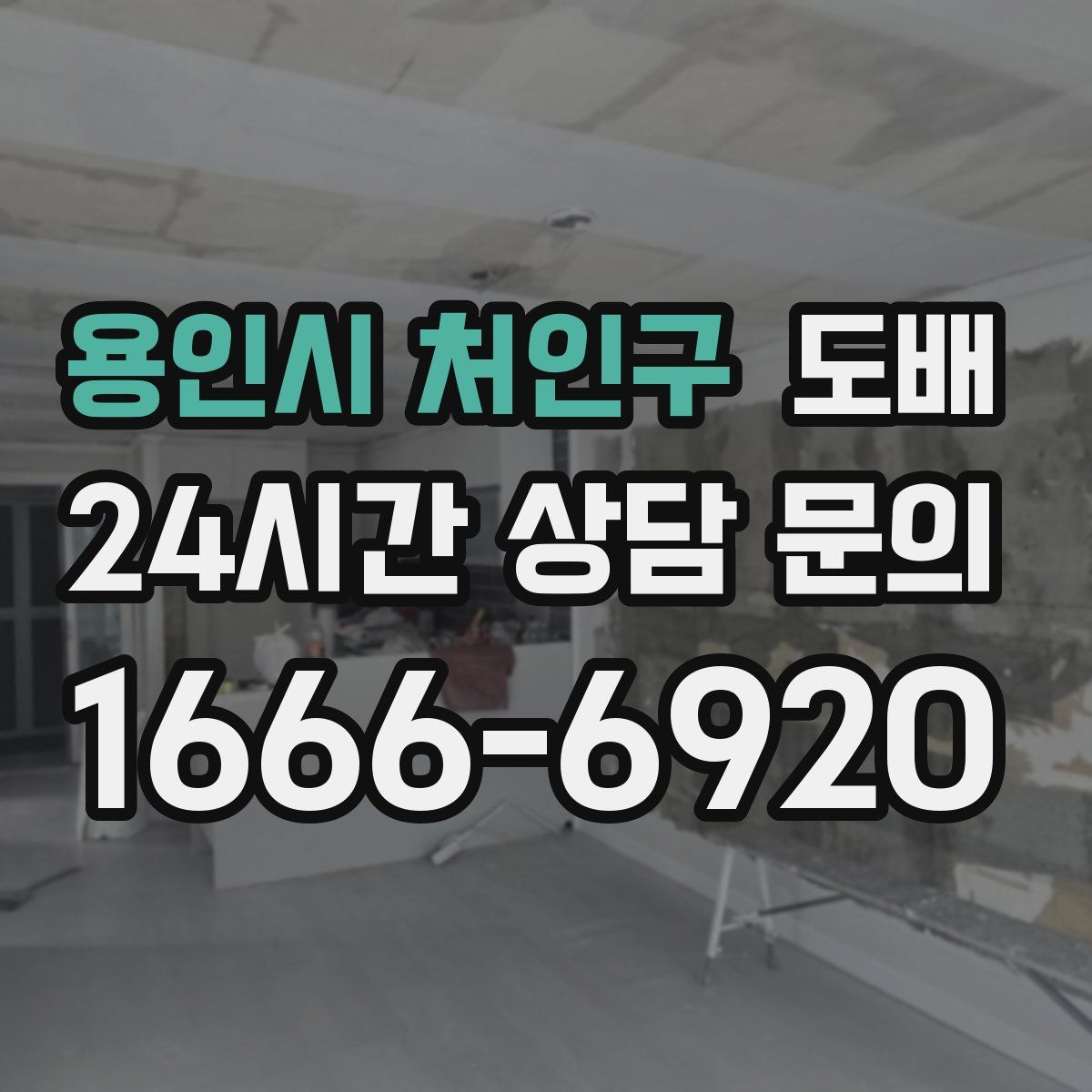 용인시 처인구 도배