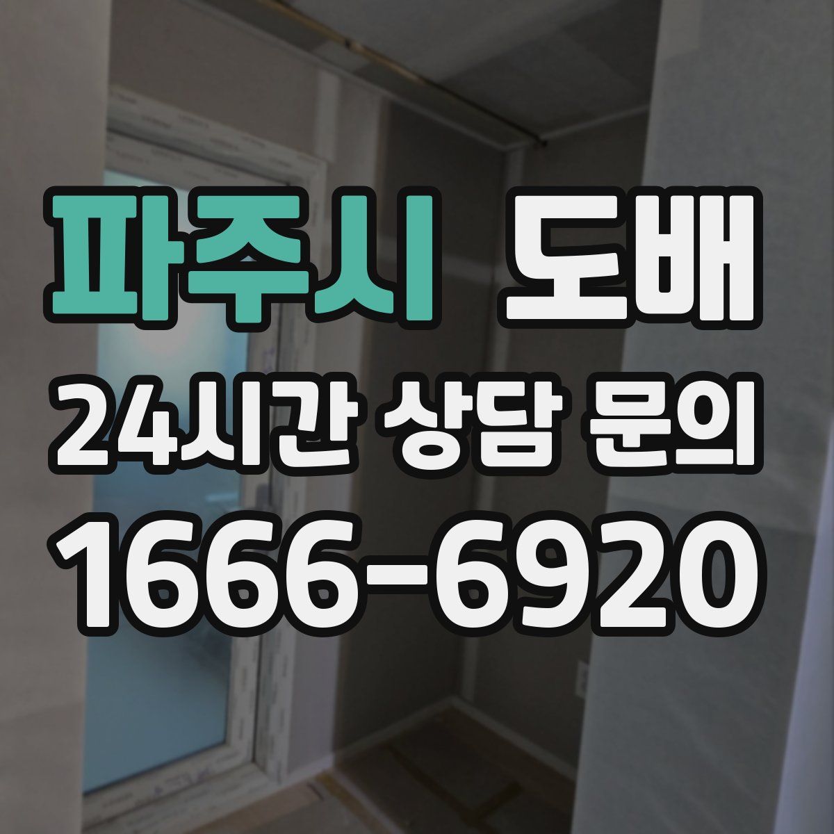 파주시 도배