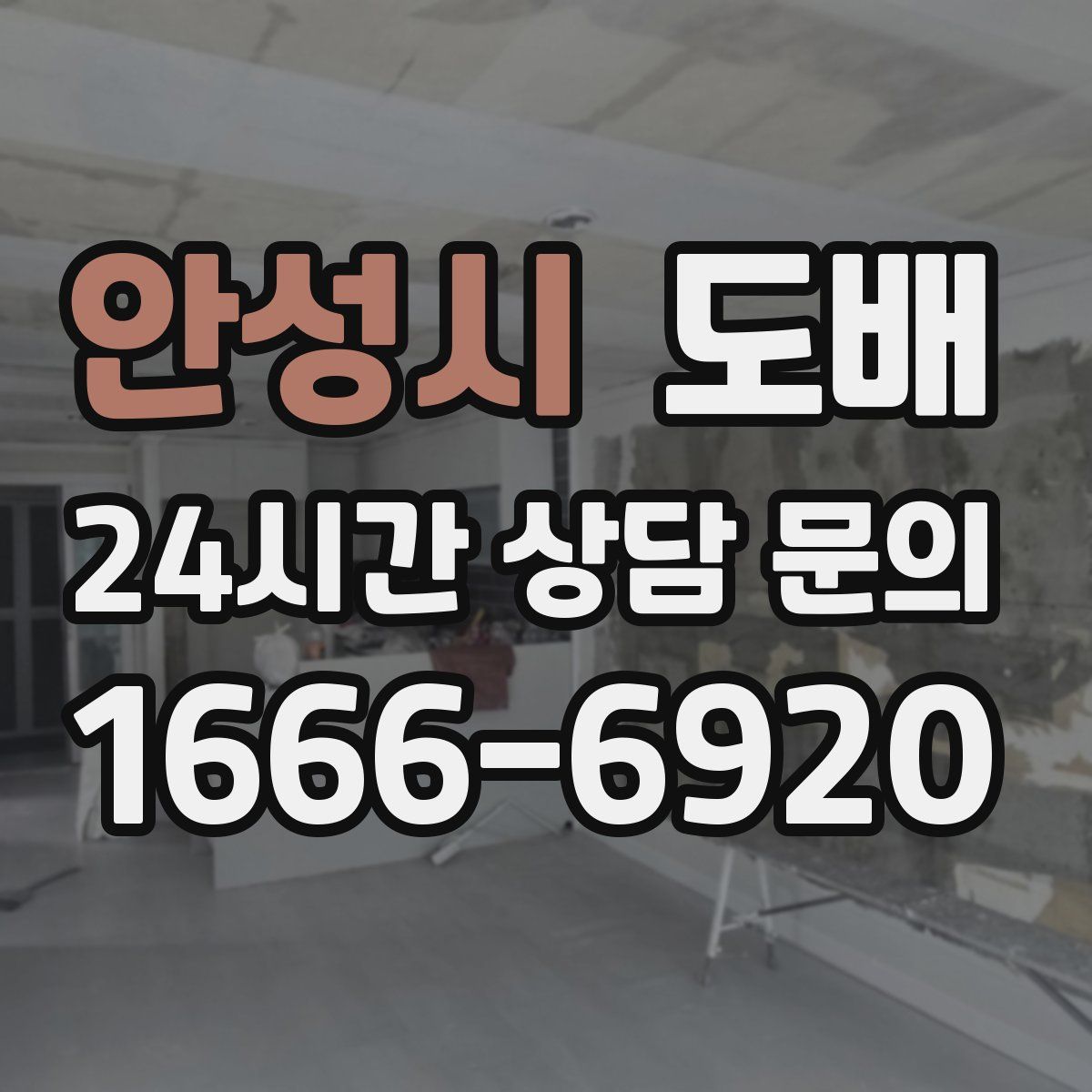 안성시 도배