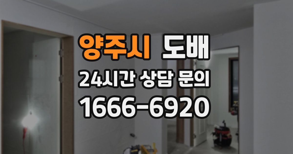 양주시 도배