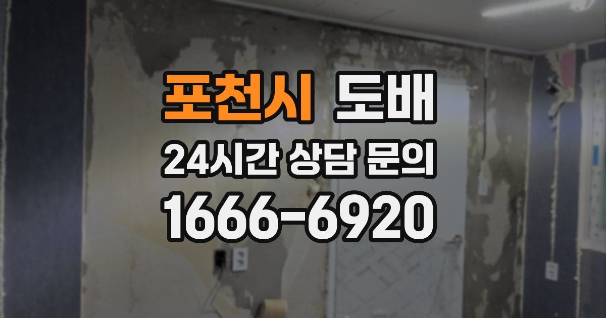 포천시 도배