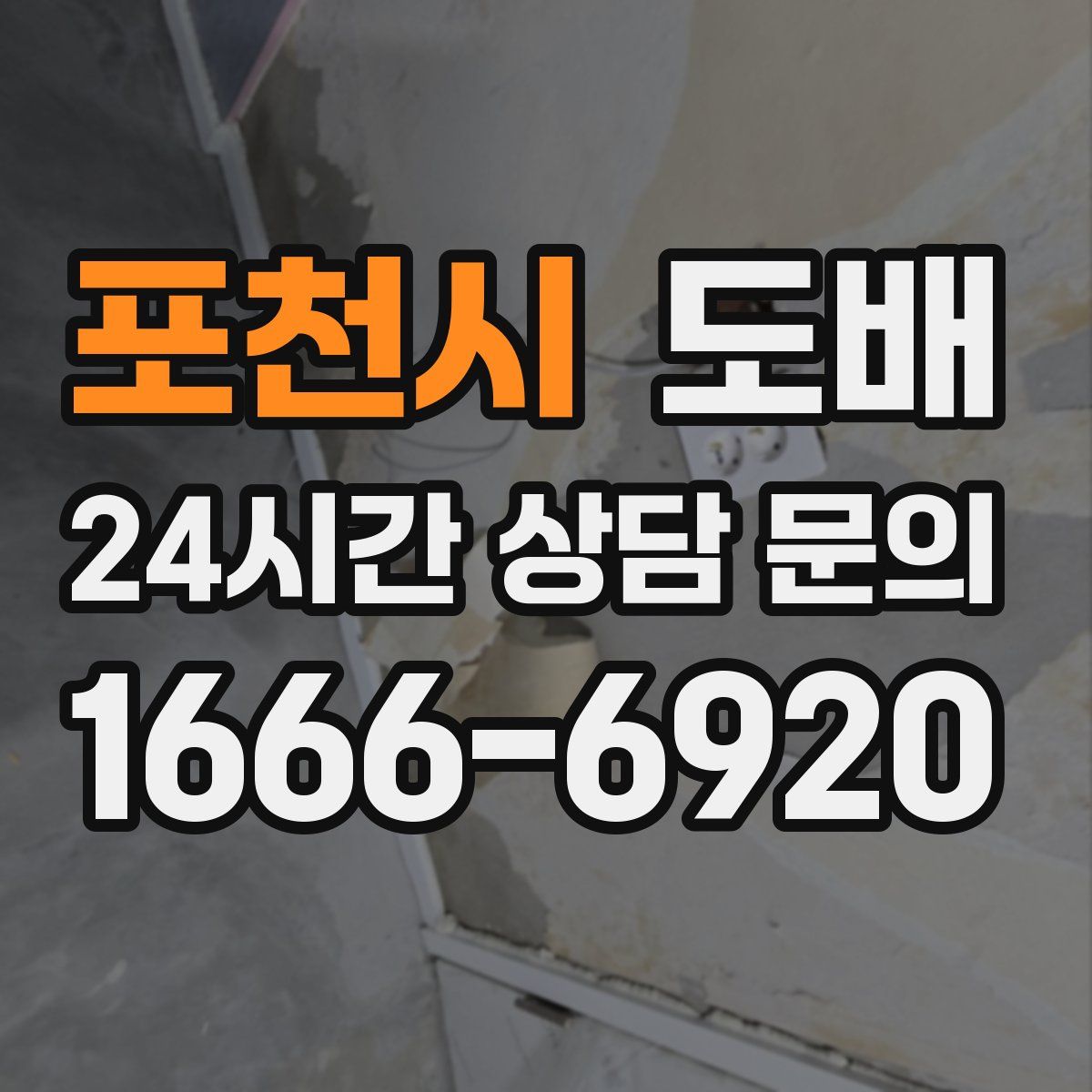 포천시 도배