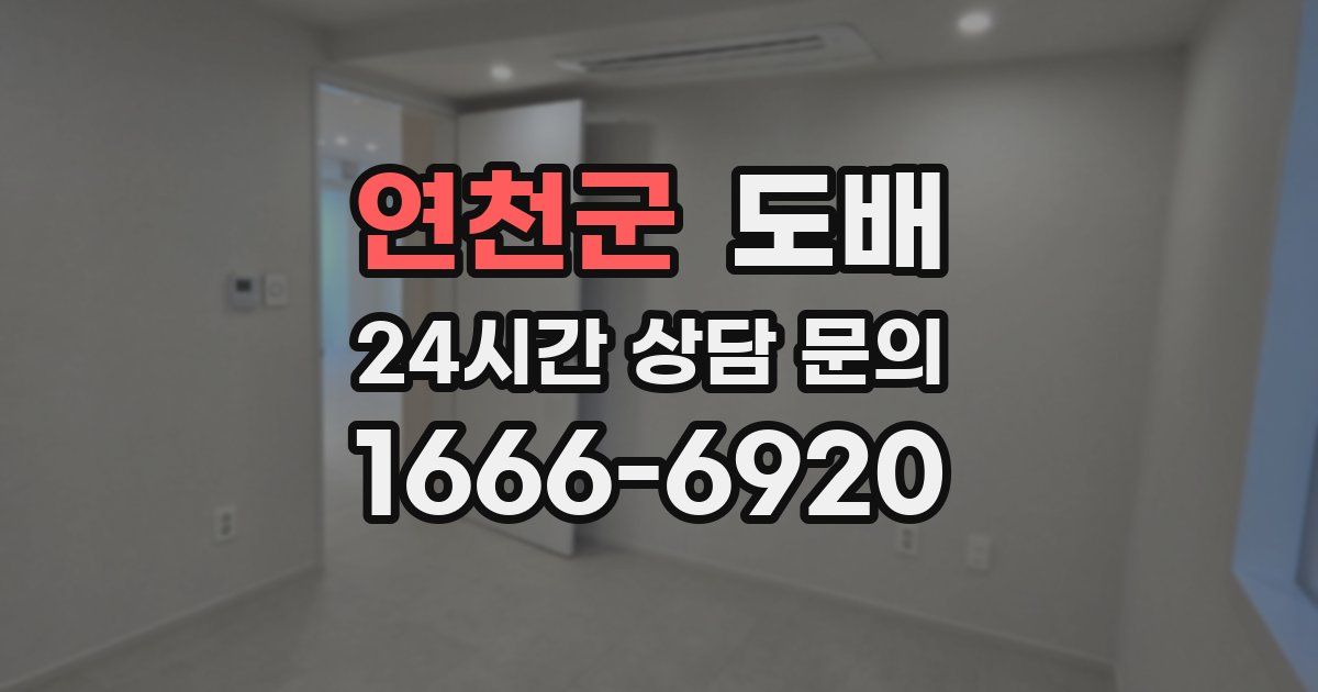연천군 도배