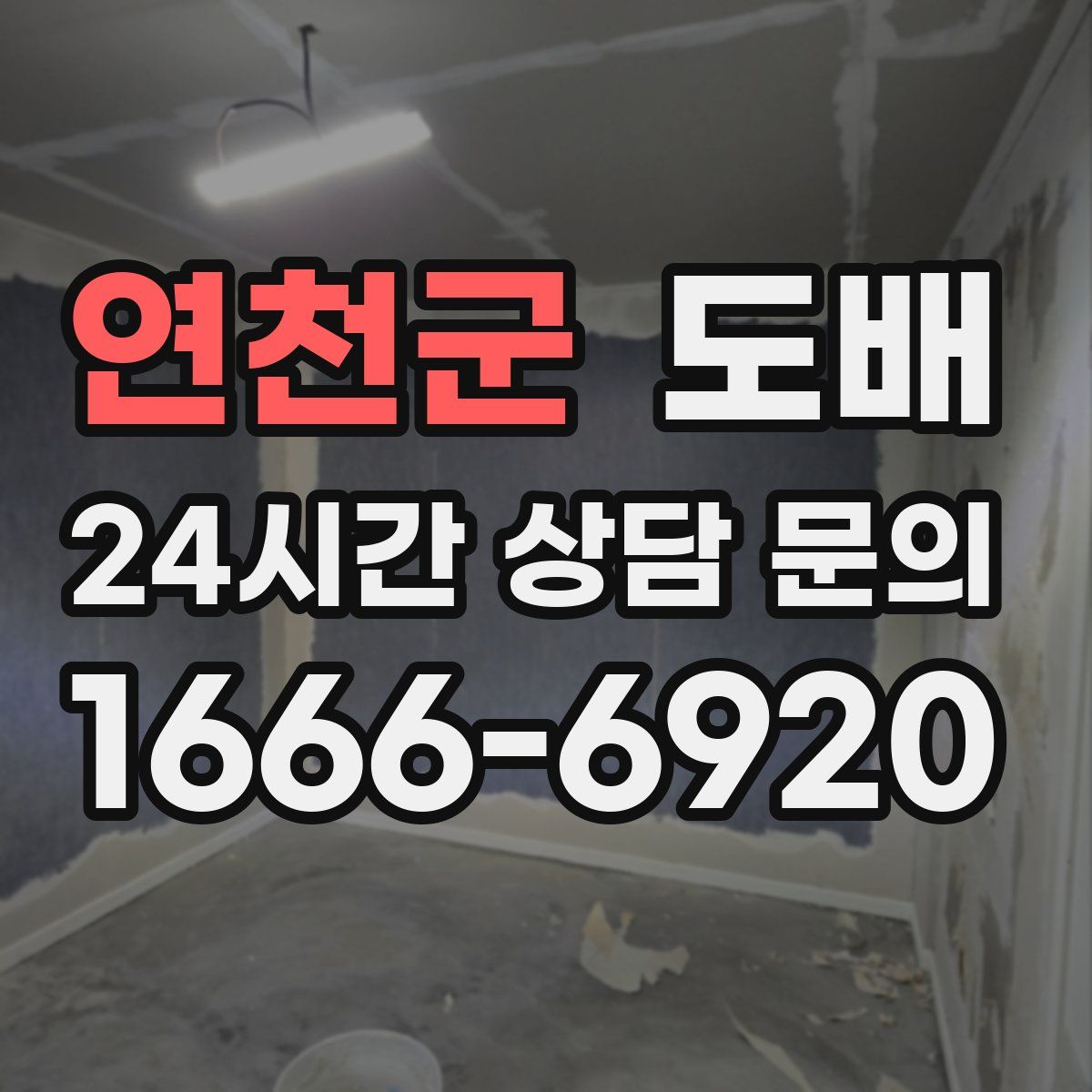 연천군 도배