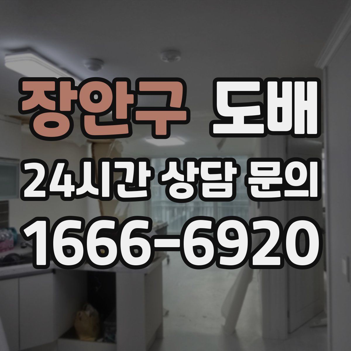 장안구 도배