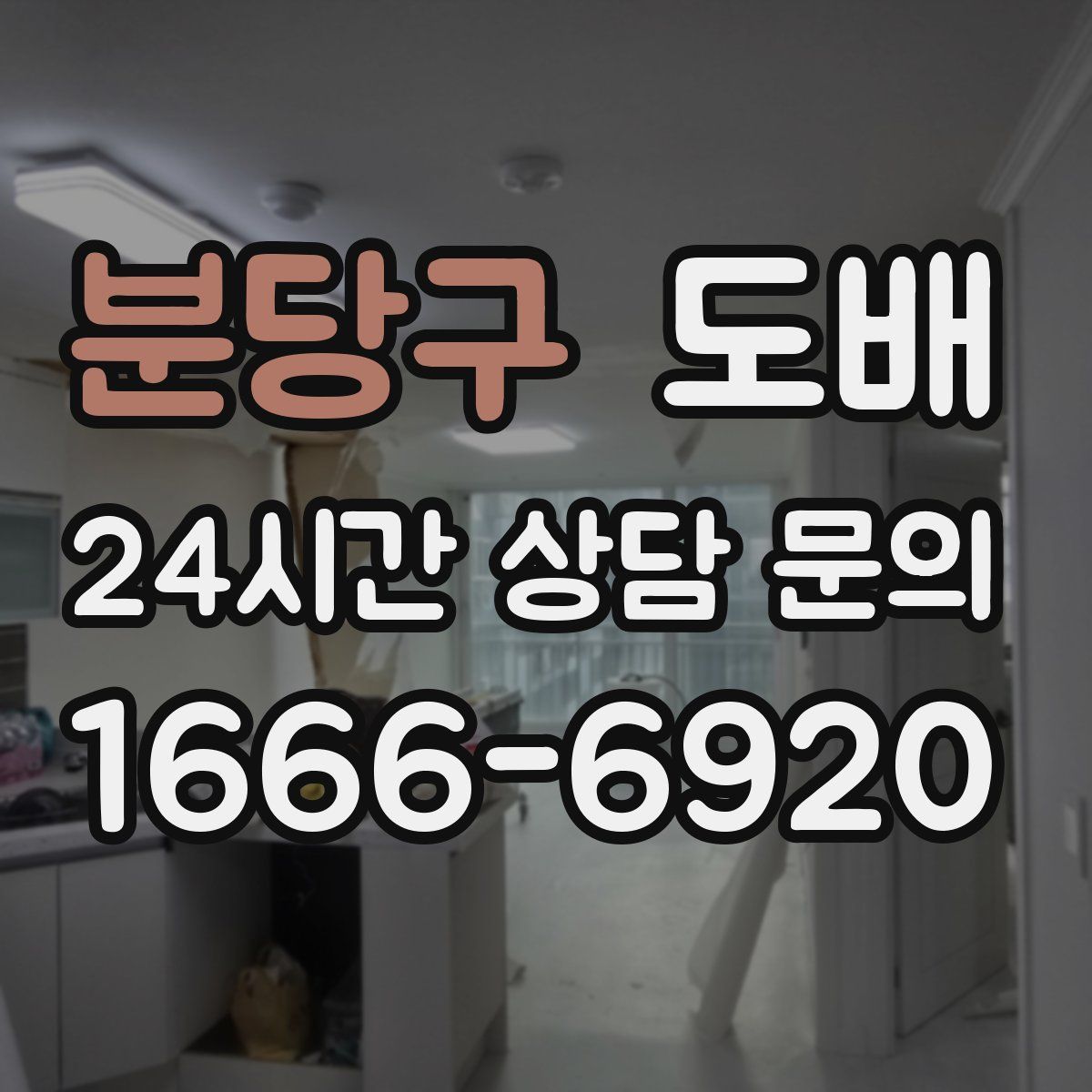 분당구 도배