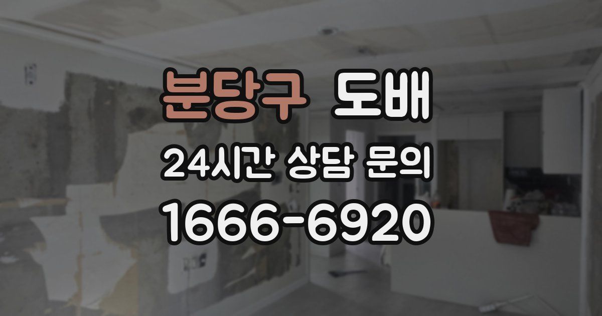 분당구 도배